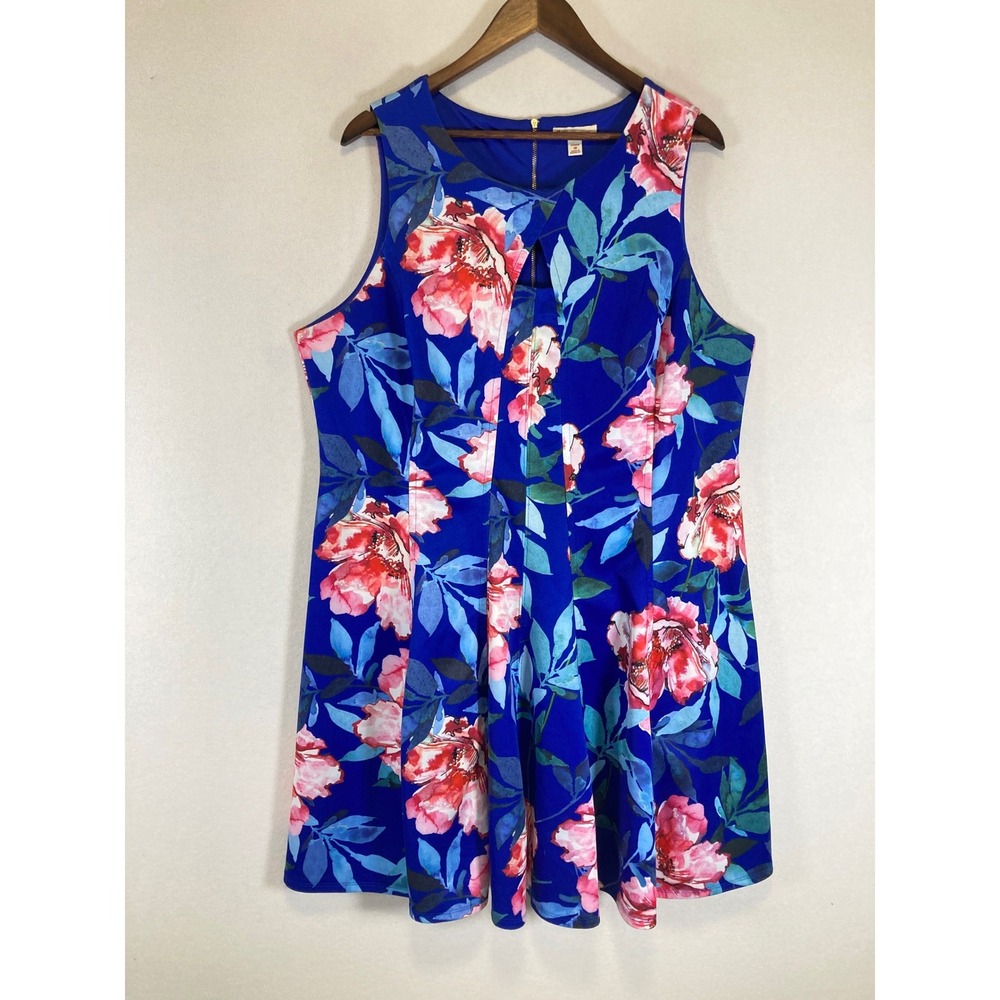 Floral Garden C. Wonder Womens 18 Blue Pink Sleeveless Fit & Flare Pleated Dress